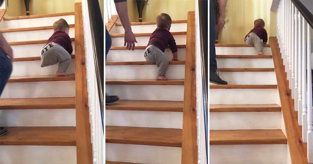 Toddler With Only One Leg Wows Parents By Climbing Stairs 