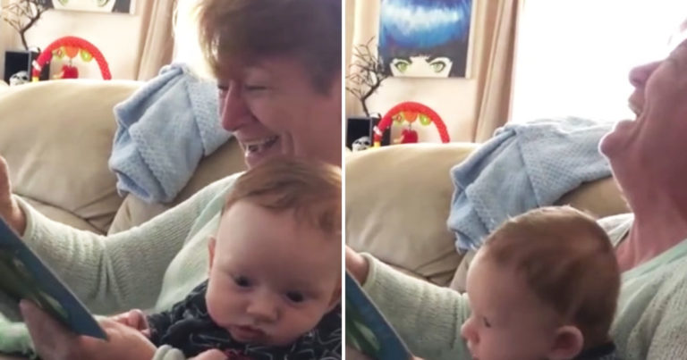 grandma reading wonky donkey