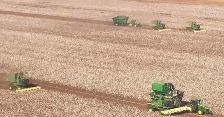 farmers harvest neighbors field