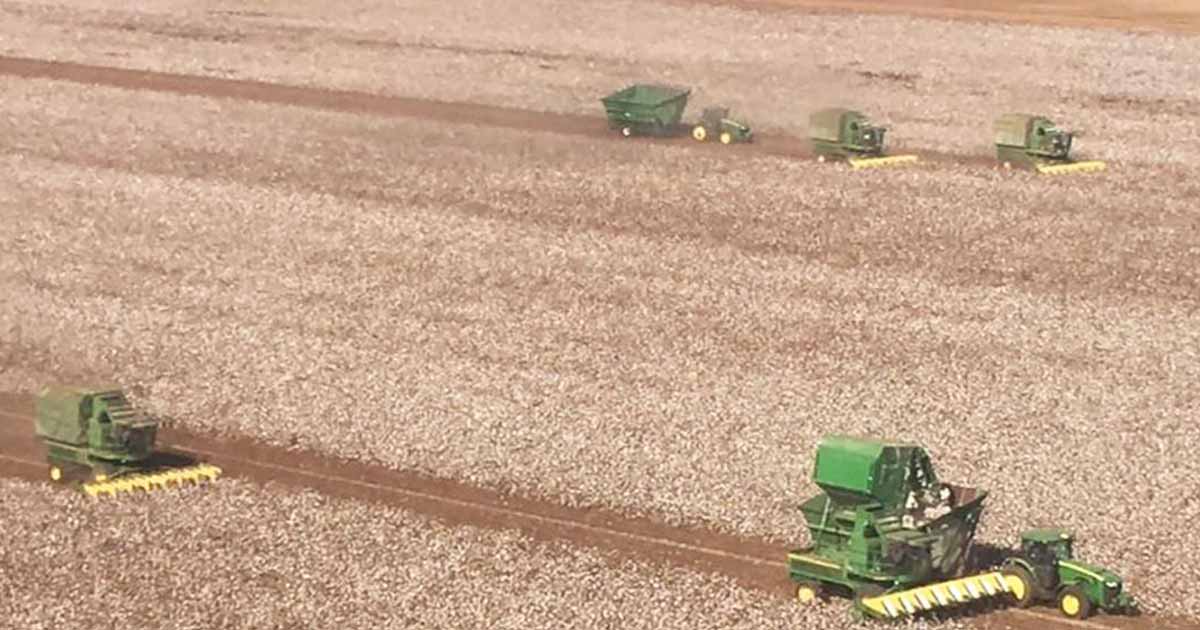 farmers harvest neighbors field