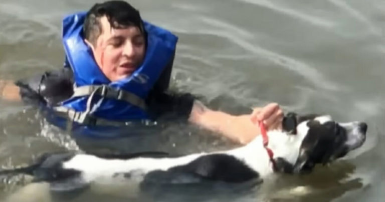 birthday-man-rescues-dog