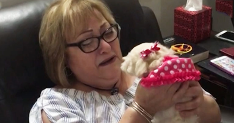 boy-surprises-grandma-puppy