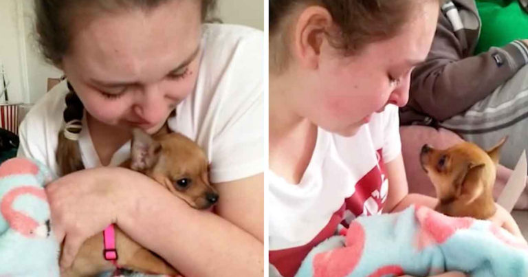 epilepsy-girl-receives-puppy