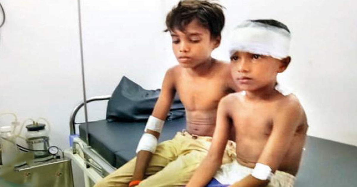boy-saves-brother-leopard