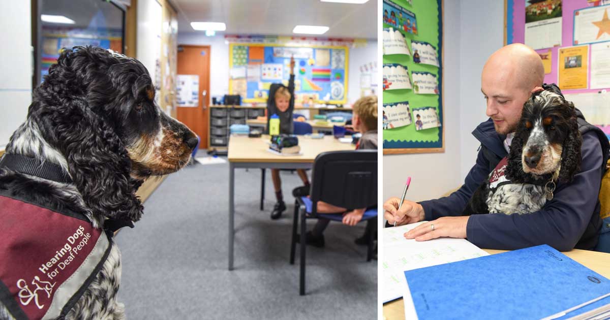 deaf-teacher-takes-class-with-dog
