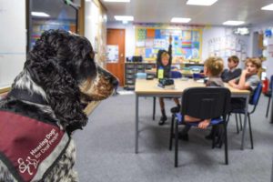 dog-helps-deaf-teacher