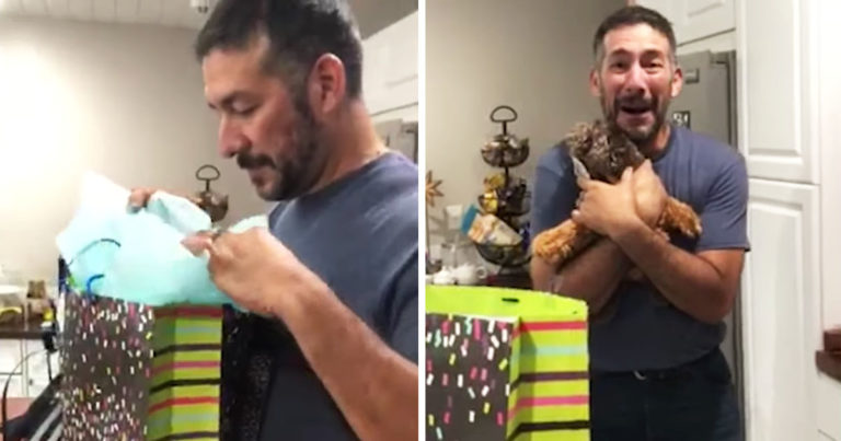 to-be-grandpa-surprise