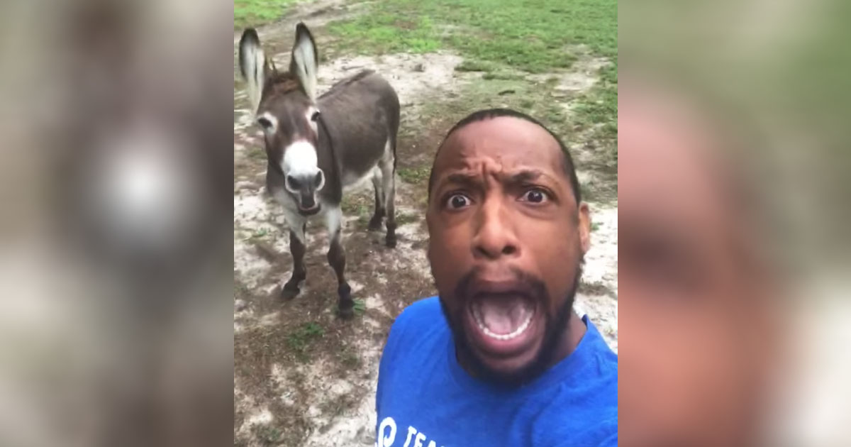 man-donkey-duet