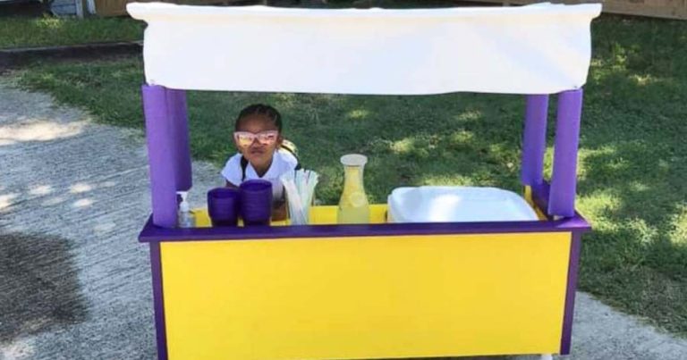 Ava-Lewis-Lemonade-Stand-Mothers-in-need