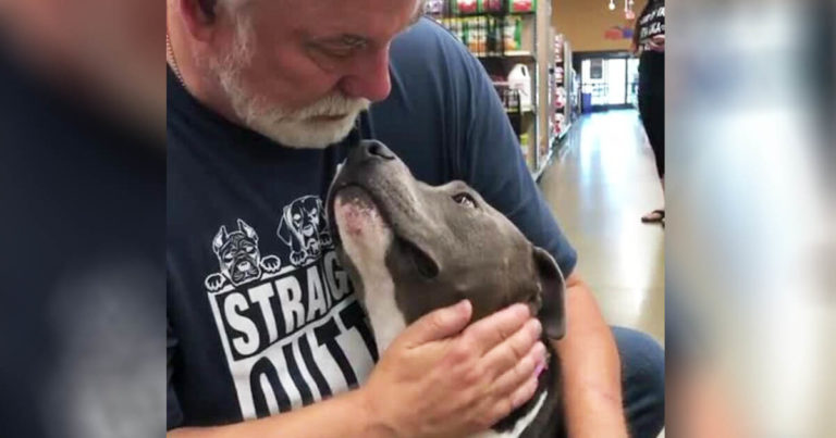 emotional-dog