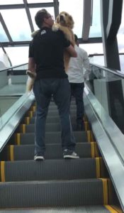 owner-carries-golden-retriever-escalator-4