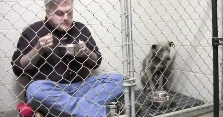 vet-eating-with-dog