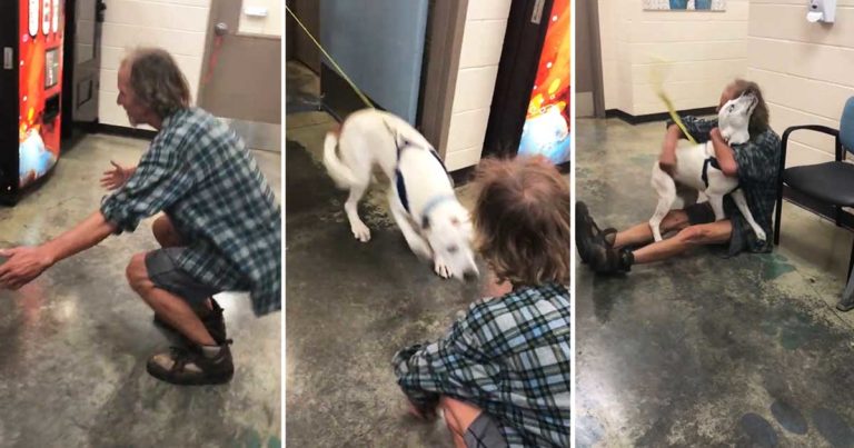 homeless-man-dog-reunion