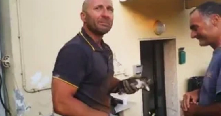 Italian-firefighter-cries-saving-kitten-main