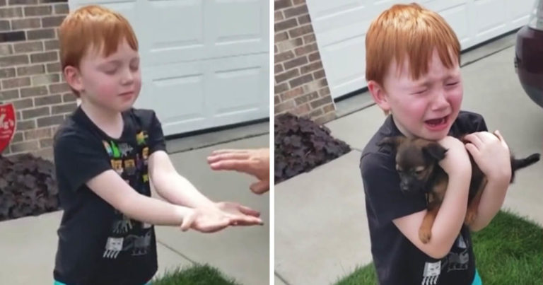 young-boy-puppy-surprise
