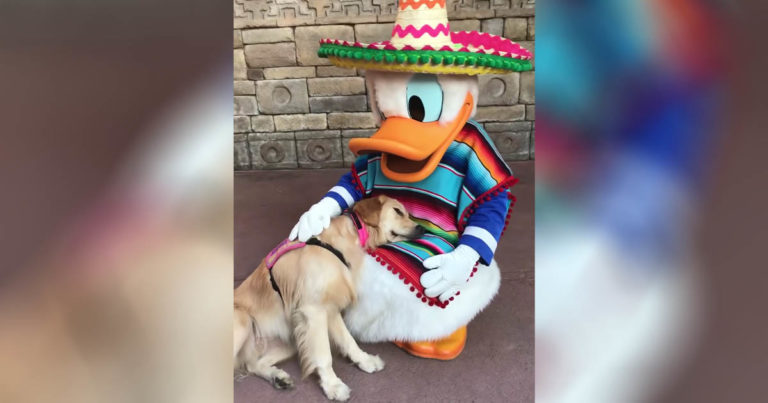 donald-duck-dog-cuddle