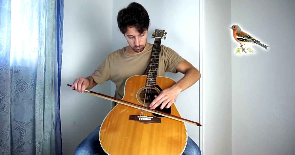 guitar-animal-sounds