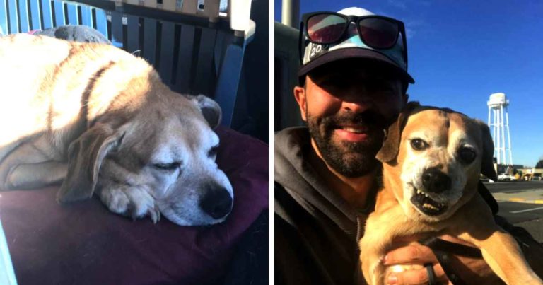 man-reunites-dog-terminal-ill-owner