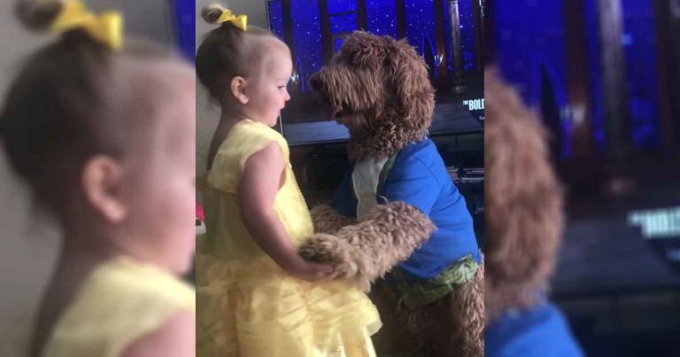 girl-dog-beauty-and-the-beast
