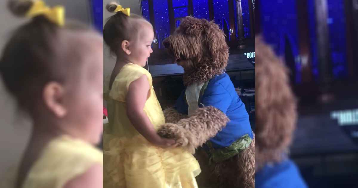 girl-dog-beauty-and-the-beast