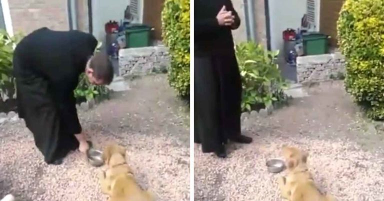 Dog prays before meal