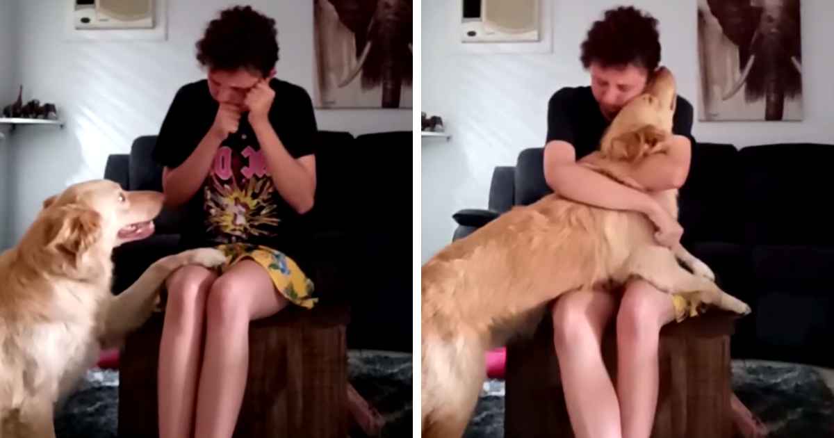 service-dog-helps-panic-attack