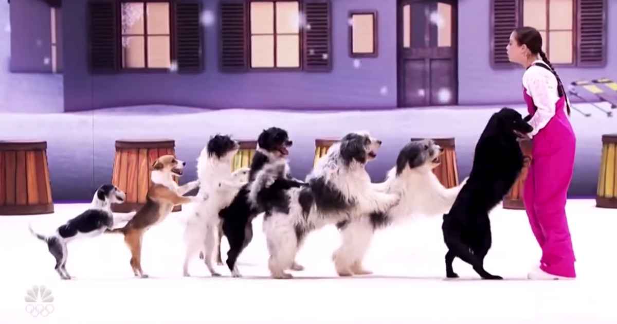 alexa-lauenburger-dogs-agt