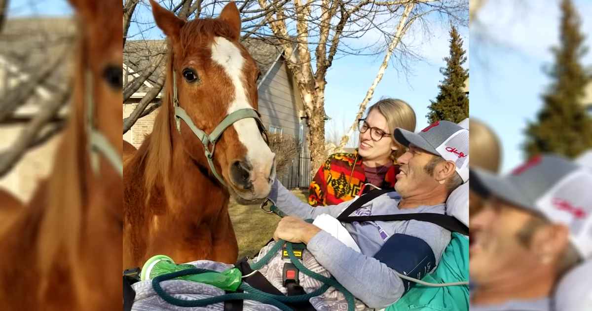 dying-cowboy-sees-horse