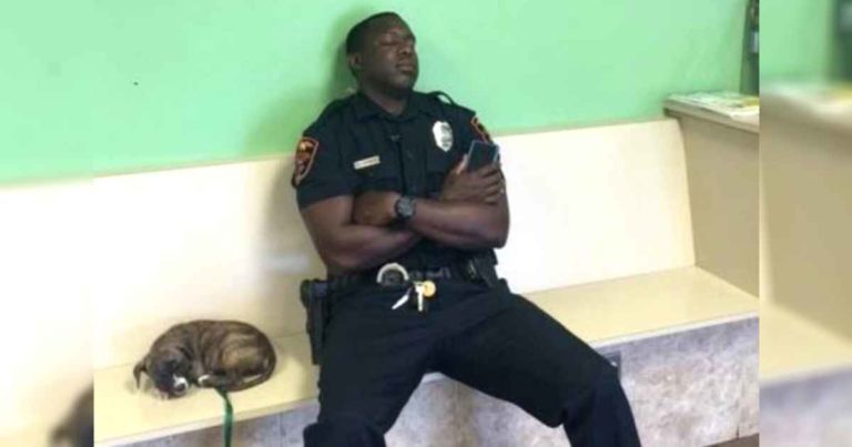 exausted-police-officer-and-stray-puppy