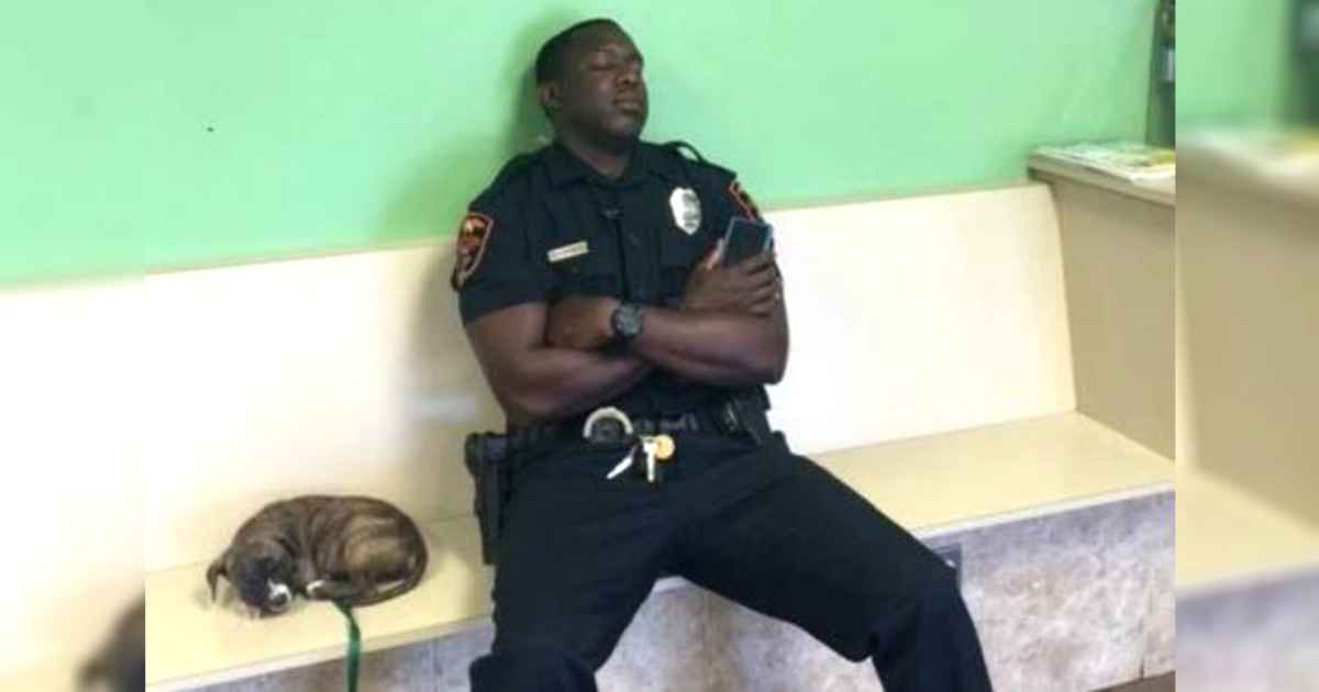 exausted-police-officer-and-stray-puppy