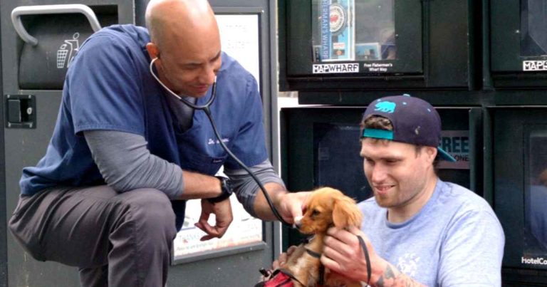street-vet-kwane-stewart
