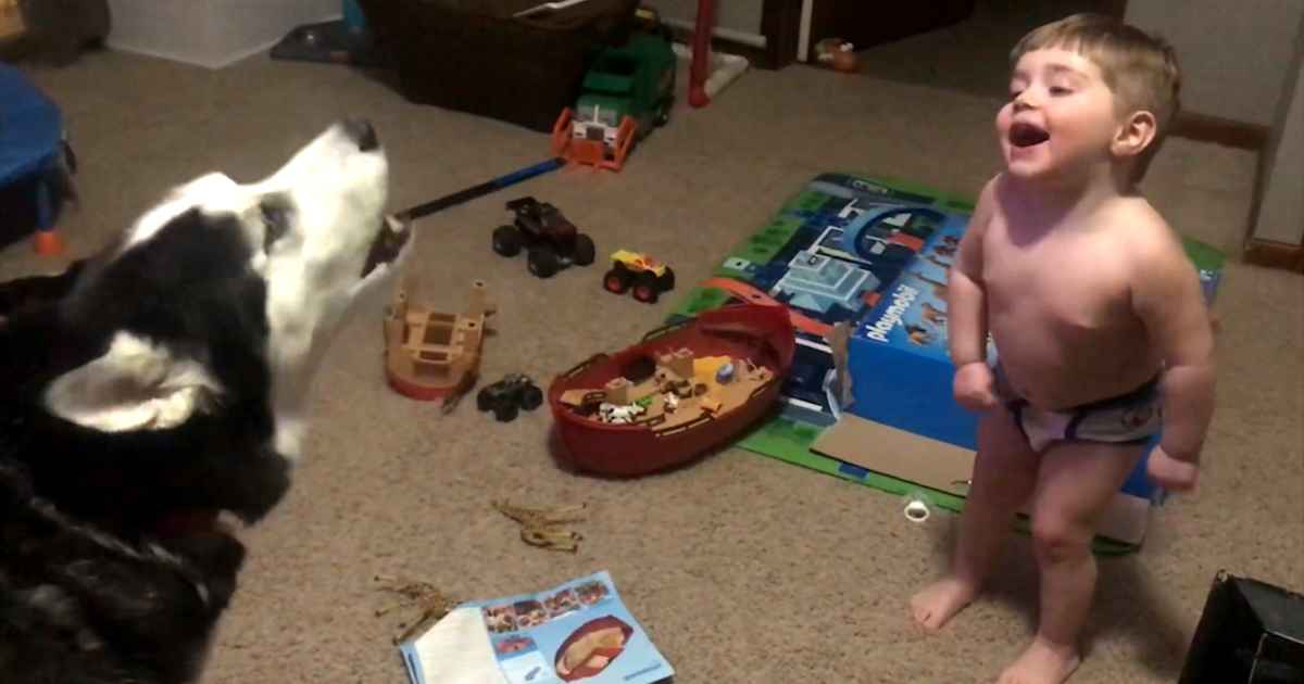 husky-howling-with-baby