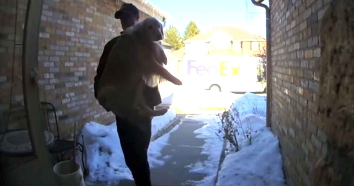 fedex-driver-delivers-lost-dog
