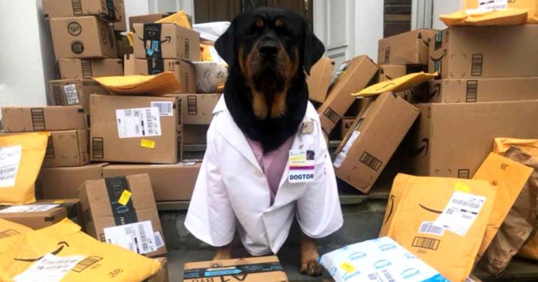 dogtor-loki