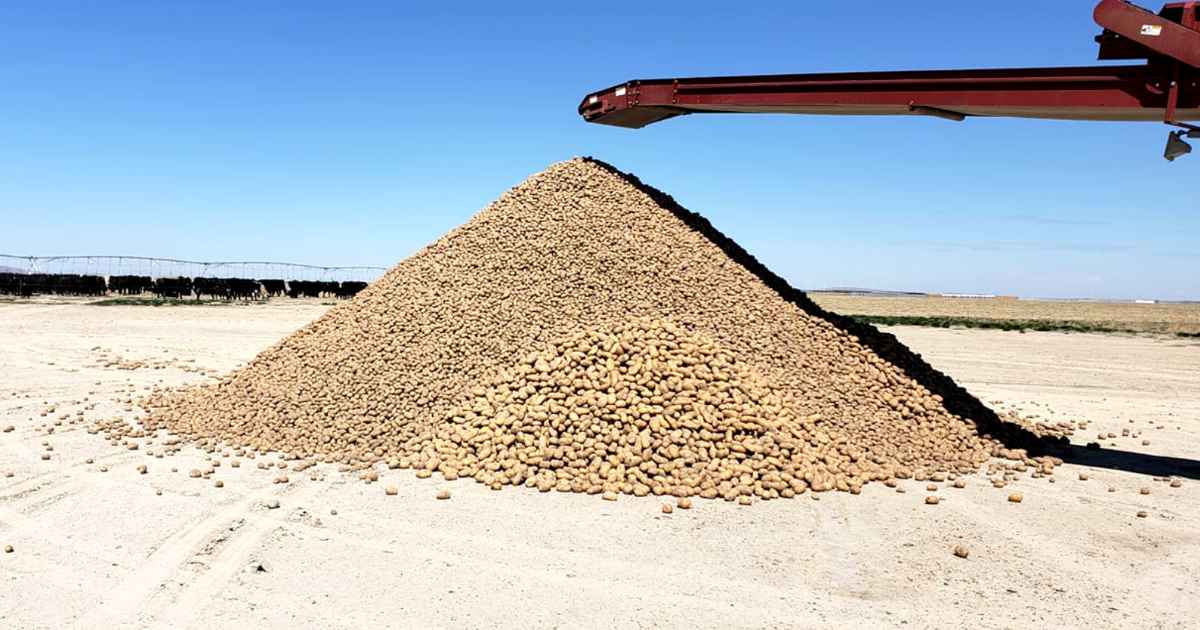 idaho-free-potatoes