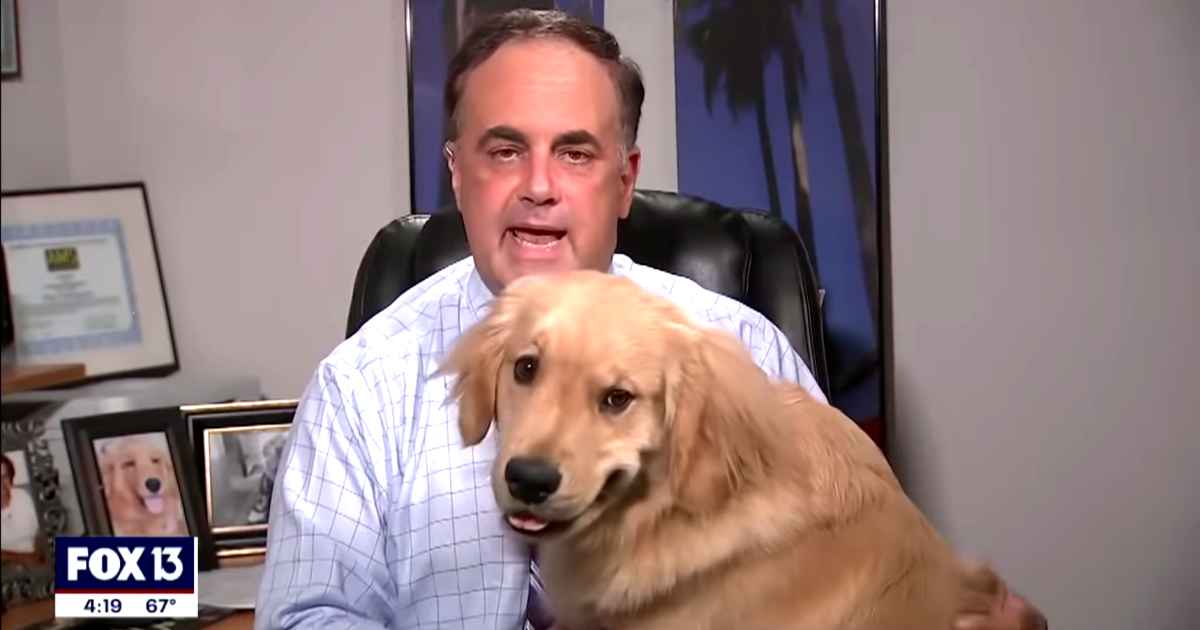 dog-interrupts-weatherman
