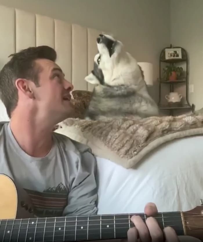 lean-on-me-dog-singing-tate-hegstrom-2
