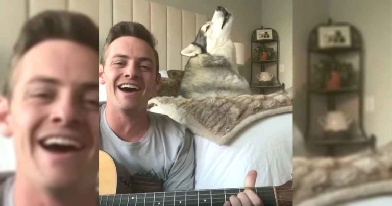 lean-on-me-dog-singing-tate-hegstrom