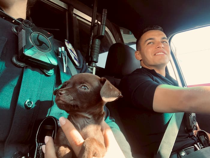officer-adopts-puppy-2