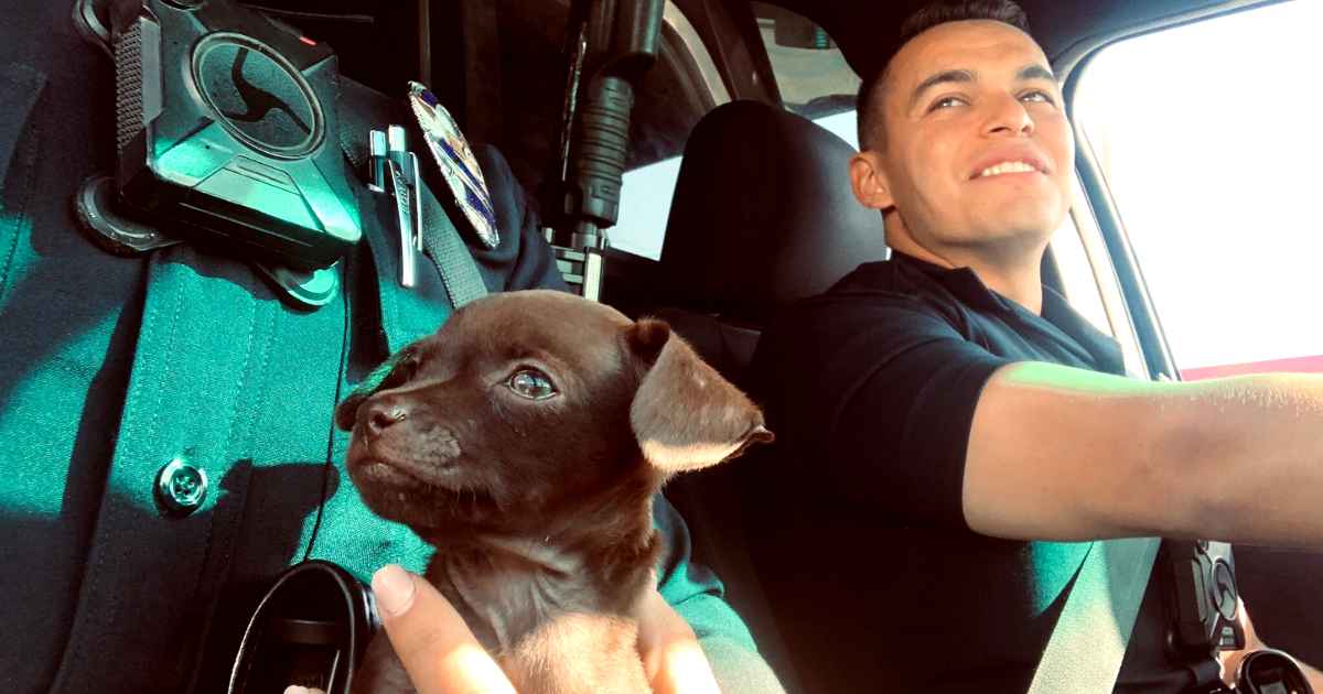 officer-adopts-puppy