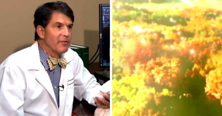 dr-eben-alexander-proof-of-heaven