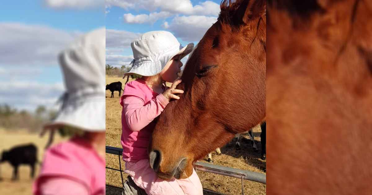 little-girl-serenades-horse