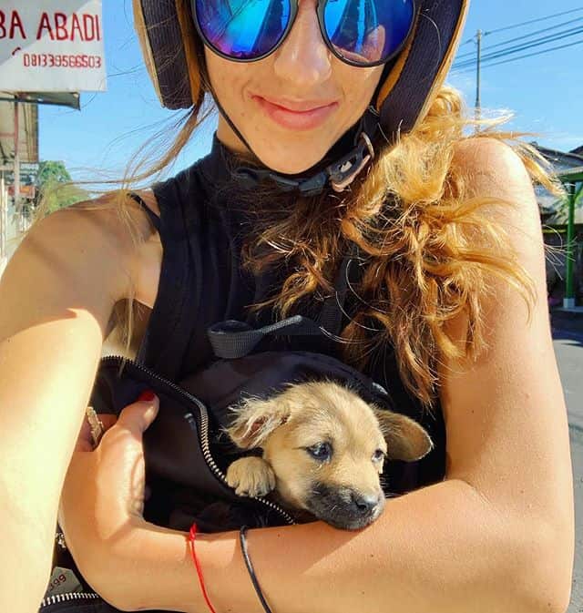 stevie-the-bali-dog-2