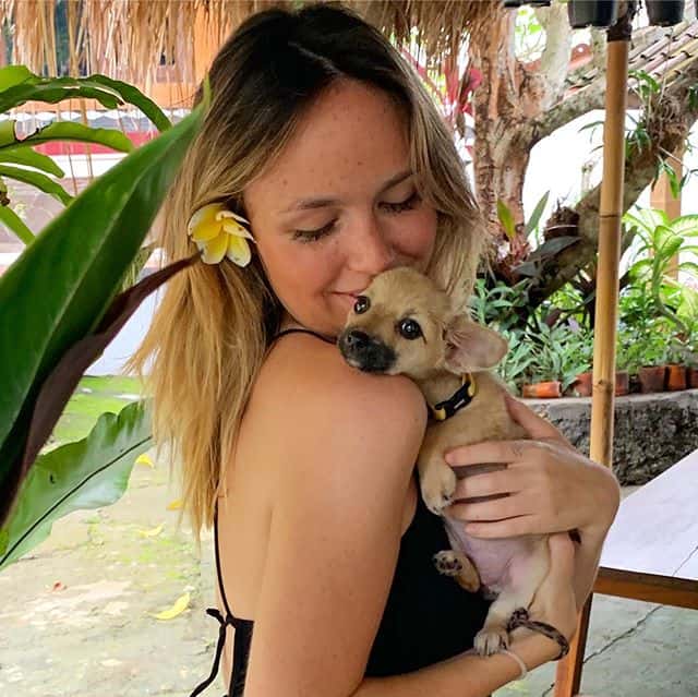 stevie-the-bali-dog-3