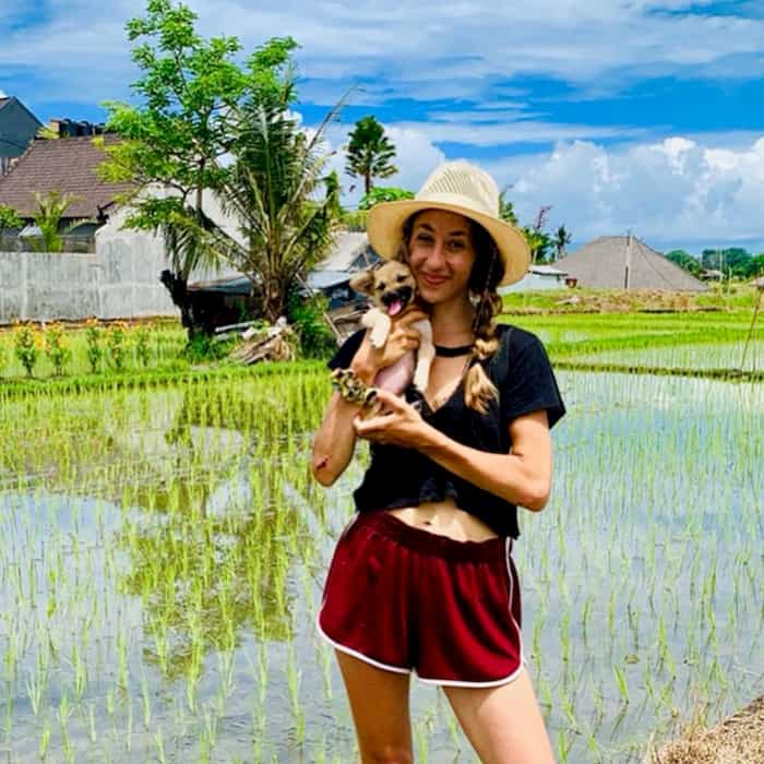 stevie-the-bali-dog-7