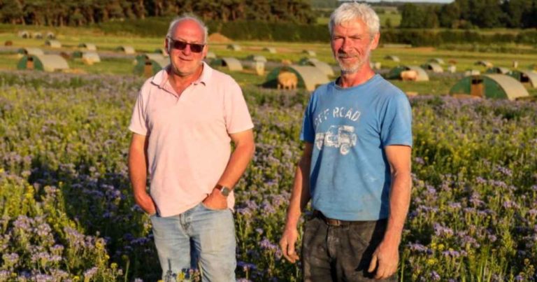 farmers-feed-bees