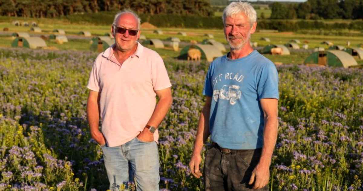 farmers-feed-bees