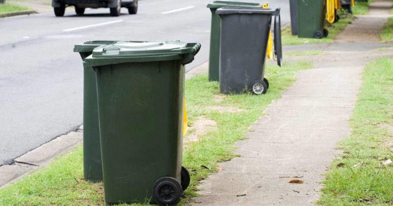 woman-feeds-man-going-through-her-bin