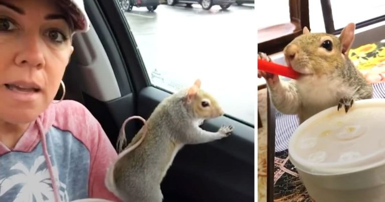 Sweet-Pea-the-squirrel