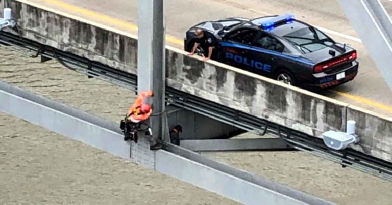 bridge-inspector-rescues-dog